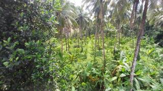 George Homestay Ujire Dharmastala - 8