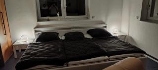 Grüne Auszeit Dresden 2 - 4