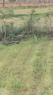 Peacock Abode Farm - 4