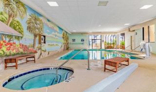 Ocean Forest 309 - 6