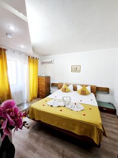 Pensiunea Red Rose Apartments - 8