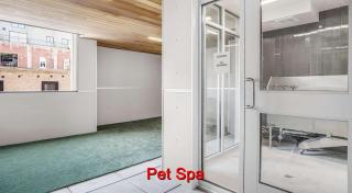 Ultra-Luxury Condo in the Middle of Downtown - 2