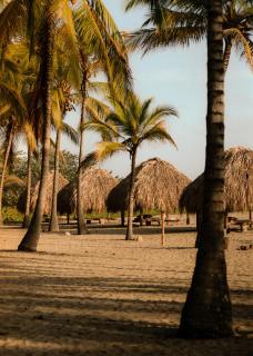 Santuario Playa Bonita - 4