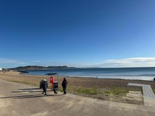 Jurrasic Discovery - 5