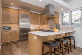 Snow Star - 9 at Ketchum - 9