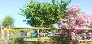 Casale Mansano - Natura e relax nelle colline - 3