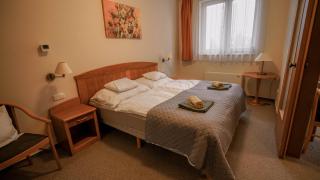 Constantia Wellness Apartman Zalakaros - 3