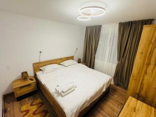 Royal Oak Craiova - 6