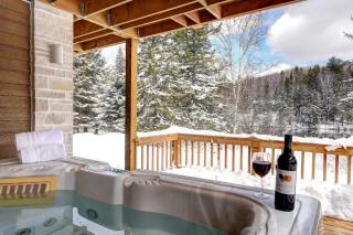 Huge Waterfront Modern Cottage on the Rouge River - 3