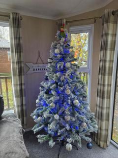 Rosewood lodge with Hot tub Felmoor park - 6