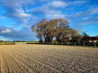 Appartement Loft Le Haras d'Agathe et ses princes - 5