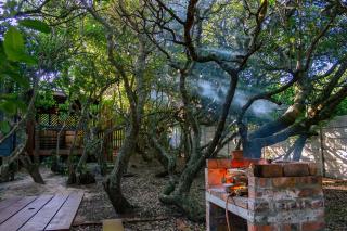 Magical Cabin in the Woods - 2