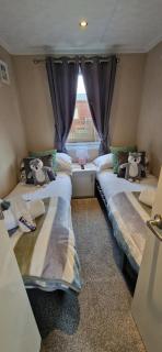 Rosewood lodge with Hot tub Felmoor park - 8