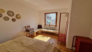 Traumhafte Gartenwohnung in Überlinger Hanglage - Zur goldenen Kiwi - 3