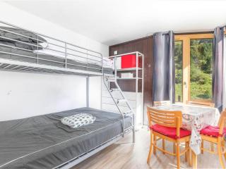 Studio cosy pour 3 pers, proche commerces et ski, Avoriaz - FR-1-314-280 - 2