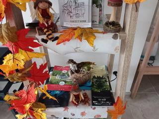 Gîte spacieux près du zoo de Beauval avec cour privative, terrasse, et équipements complets - FR-1-591-371 - 5