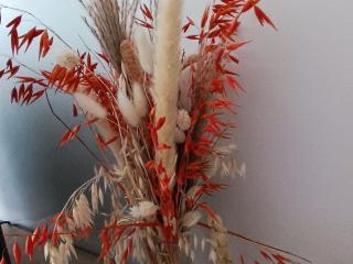 Gîte spacieux près du zoo de Beauval avec cour privative, terrasse, et équipements complets - FR-1-591-371 - 2