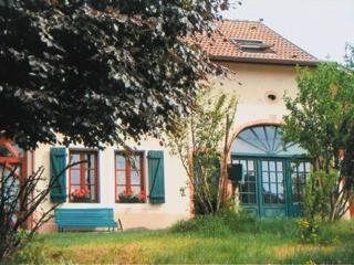 Charmant Gîte Vosgien avec Terrasse, Randonnées et Lacs, Proche Alsace et Col du Donon - FR-1-584-54 - 0