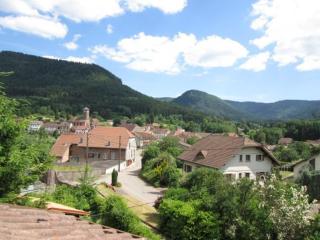 Charmant Gîte Vosgien avec Terrasse, Randonnées et Lacs, Proche Alsace et Col du Donon - FR-1-584-54 - 6