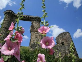 Maison de charme en pierre au bord d’un ruisseau, proche d’un bourg médiéval – Jardin et garage inclus - FR-1-582-151 - 5
