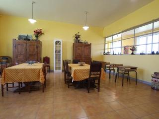 Gîte familial avec charme d'école, terrasse, terrain clos, proche gorges de la Loire et sites naturels - FR-1-582-185 - 6