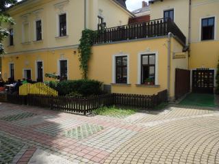 Hotel Zlatý Kříž - Teplice - 8