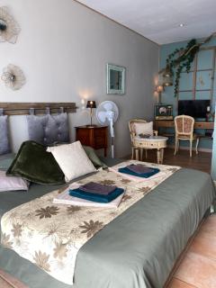 "MAS TRAMONTANE "ancien mas agricole avec chambres d'hôtes, studio, parc arboré, piscine et sa vue face au Canigou - Ille-sur-Têt - 1