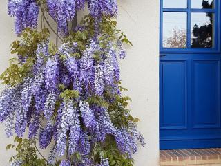Gîte Confortable au Cœur du Vignoble de Sancerre avec Internet et Proche de la Loire à Vélo - FR-1-586-3 - 5