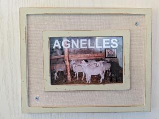 Maison de caractère avec grand terrain, proche d'Arlempdes, labels ECOGÎTE et Tourisme & Handicap - FR-1-582-118 - 1