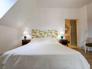 Maison isolée avec parc, étang privé et à 20 min du Zoo de Beauval - FR-1-591-309 - 8