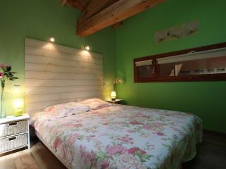 Bergerie moderne au calme, nature luxuriante, proche du Lac de Malaguet - FR-1-582-20 - 6