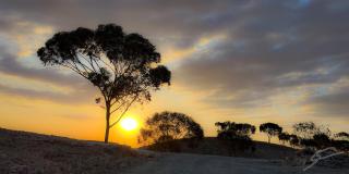 SEVEN SAINTS Lodges - 5