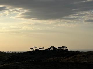 SEVEN SAINTS Lodges - 1