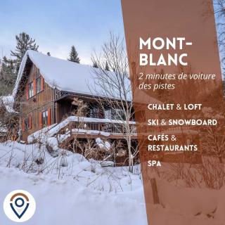 Sous Bois & Loft - Hot tub - Ski out - 9