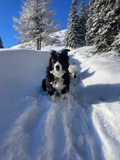 Maris Luxus-Chalet Gerlitzen 1720m - 6