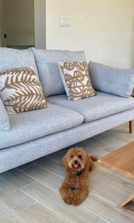 Villa Residence Playa Caracol - 6