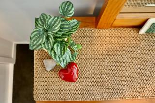 Aroha Cove, Walk to Beach & Cafes, Massage Chair - 1