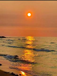 Blue Ocean Cove Beach House - 3