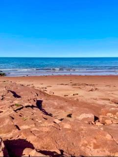 Blue Ocean Cove Beach House - 3