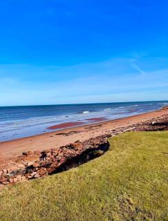 Blue Ocean Cove Beach House - 4