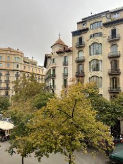 Velvet in Rambla Cataluña - 3