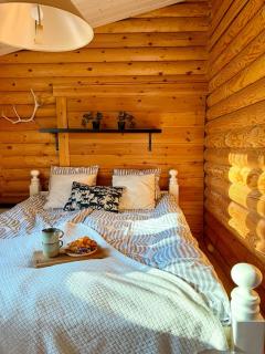 Kantolammen mökki 66m2, kylpypalju ja puusauna - 5