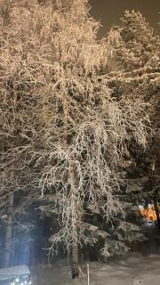 Arctic Apartment - 4