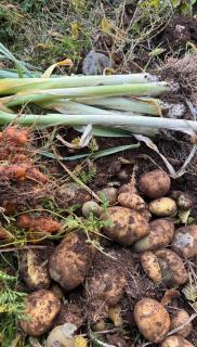 Mountain villa in Gorna Belica - Villa Hani - 4