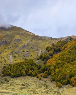 Mountain villa in Gorna Belica - Villa Hani - 3