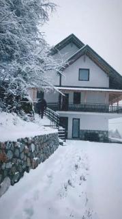 Mountain Home in Struga - Gorna Belica - 7