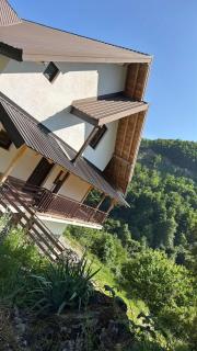 Mountain villa in Gorna Belica - Villa Hani - 4