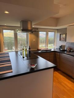 Big & Modern House with Spectacular Views - 2