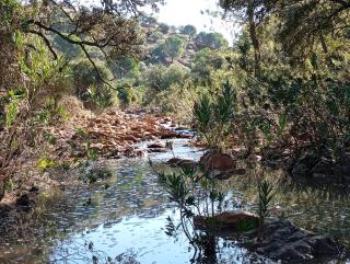 Casa Lucas Andrew - 8