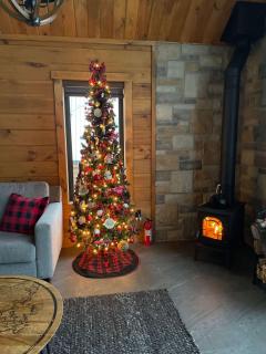 Promontoire-29 Mountain chalet with a hot tub - 8